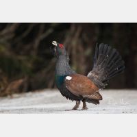 3375 x 2250_Px _RM_090419_MG_2315.jpg