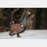 3445 x 2297_Px _RM_090419_MG_2128.jpg