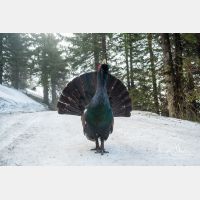 3504 x 2336_Px _RM_090419_MG_1812.jpg