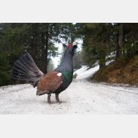 3504 x 2336_Px _RM_090419_MG_1959.jpg