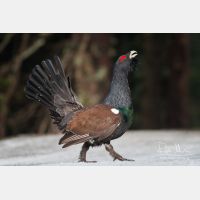 3504 x 2336_Px _RM_090419_MG_2134.jpg