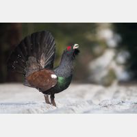 3504 x 2336_Px _RM_090419_MG_2225.jpg