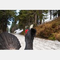 3504 x 2336_Px _RM_090419_MG_2618.jpg