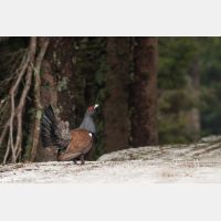 3504 x 2336_Px _RM_090419_MG_2775.jpg