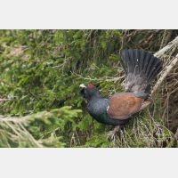 3504 x 2336_Px _RM_090419_MG_2784.jpg