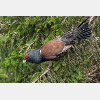 3504 x 2336_Px _RM_090419_MG_2814.jpg