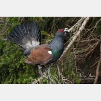 3504 x 2336_Px _RM_090419_MG_2837.jpg