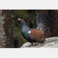 3504 x 2336_Px _RM_090419_MG_2866.jpg