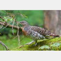 3519 x 2346_Px _RM_100914_MG_6831_b.jpg