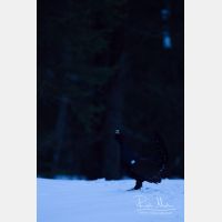 3648 x 5472_Px _RM_160430_MG_6706.jpg