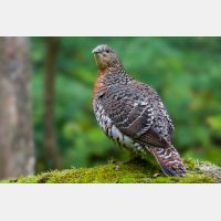 3888 x 2592_Px _RM_100914_MG_6816_b.jpg