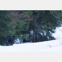 5050 x 3367_Px _RM_160430_MG_6738.jpg