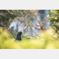 5099 x 3400 Px   _RM_200525_D4_0575.jpg