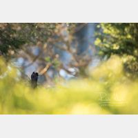 5113 x 3409 Px   _RM_200525_D4_0579.jpg