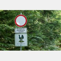 5141 x 3427 Px   _RM_190815_D2_2383.jpg