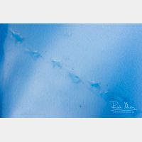 5472 x 3648_Px _RM_160429_MG_6675.jpg