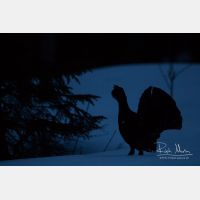 5472 x 3648_Px _RM_160430_MG_6697.jpg