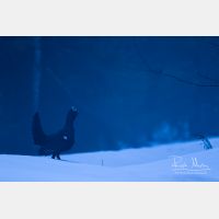 5472 x 3648_Px _RM_160502_MG_6817.jpg