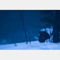 5472 x 3648_Px _RM_160502_MG_6823.jpg