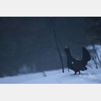 5472 x 3648_Px _RM_160502_MG_6833.jpg