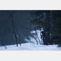 5472 x 3648_Px _RM_160502_MG_6852.jpg