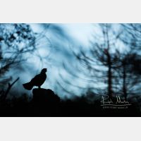 5780 x 3853 Px   _RM_200525_D4_0768.jpg