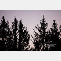 6199 x 4133 Px   _RM_200525_D4_0889.jpg