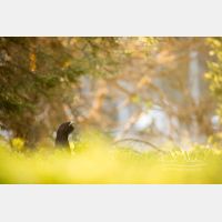 6720 x 4480 Px   _RM_200525_D4_0653.jpg