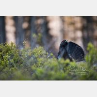 6720 x 4480 Px   _RM_200525_D4_0832.jpg