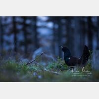 6720 x 4480 Px   _RM_200525_D4_0875.jpg