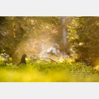 9789 x 6526 Px   _RM_200525_D4_0652-Pano.jpg