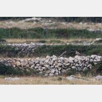 3528 x 2352_Px _RM_110613_MG_6549.jpg