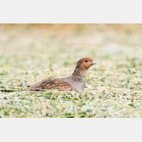 3312 x 2208_Px _RM_110613_MG_5613.jpg