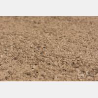 3330 x 2220_Px _RM_101006_MG_5635.jpg