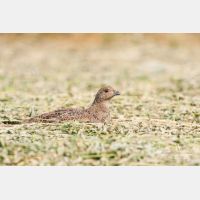 3492 x 2328_Px _RM_110613_MG_5611.jpg