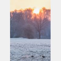 3562 x 5344 Px   _RM_180214_7D2_5515_b.jpg