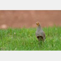 4765 x 3177_Px _RM_130417_MG_1038_b.jpg