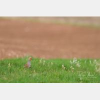 4831 x 3221_Px _RM_130417_MG_0995.jpg