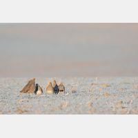 5472 x 3648 Px   _RM_180214_7D2_5623.jpg