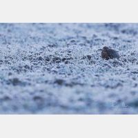 5760 x 3840 Px   _RM_180214_5D3_5555.jpg