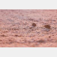 5760 x 3840 Px   _RM_180214_5D3_5566.jpg