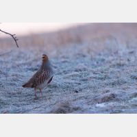 5760 x 3840 Px   _RM_180215_5D3_5706.jpg