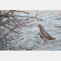 5760 x 3840 Px   _RM_180215_5D3_5724.jpg