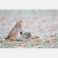 5760 x 3840 Px   _RM_180215_5D3_5892.jpg