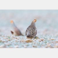 5760 x 3840 Px   _RM_180215_5D3_5910.jpg