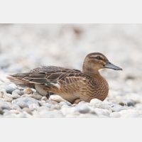 3504 x 2336_Px _RM_080809_MG_2045.jpg