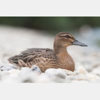 3504 x 2336_Px _RM_080809_MG_2119.jpg