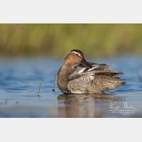 4678 x 3119_Px _RM_160531_MG_7179.jpg