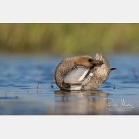 4744 x 3162_Px _RM_160531_MG_7189.jpg