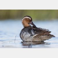 4978 x 3318_Px _RM_160531_MG_7201.jpg